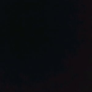 Meet your Posher, Ty